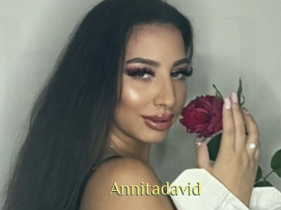 Annitadavid