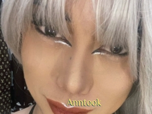 Anntook