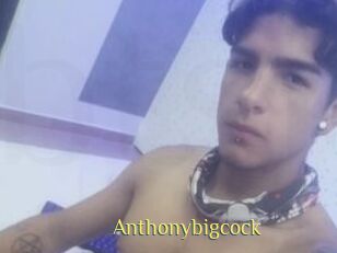 Anthonybigcock