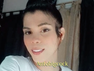 Antobigcock