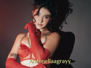 Antonellaagrayy