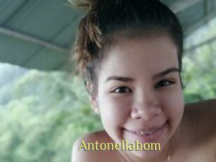 Antonellabom