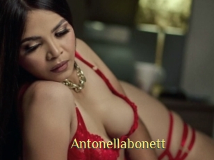 Antonellabonett