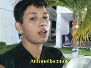 Antonellaconors