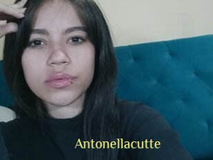 Antonellacutte