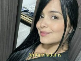Antonelladams