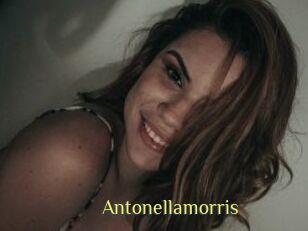 Antonellamorris