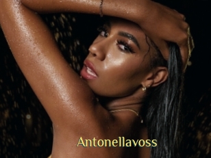 Antonellavoss