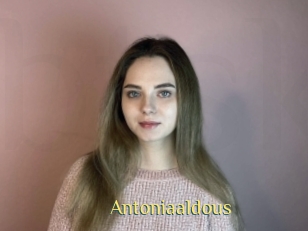 Antoniaaldous