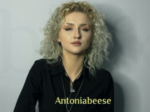 Antoniabeese