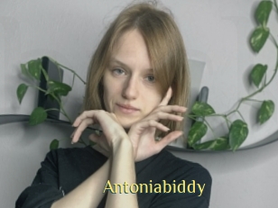 Antoniabiddy