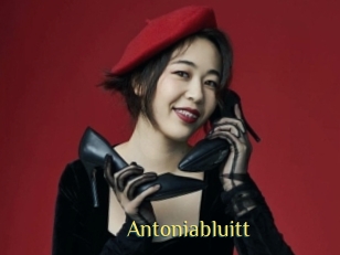 Antoniabluitt
