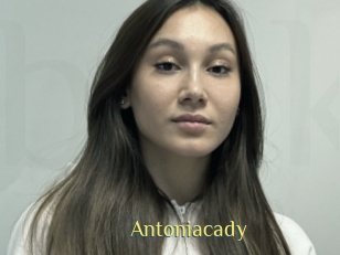 Antoniacady