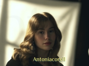 Antoniacorell