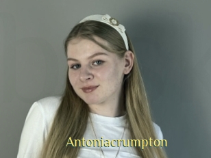 antoniacrumpton Brutal Spankings