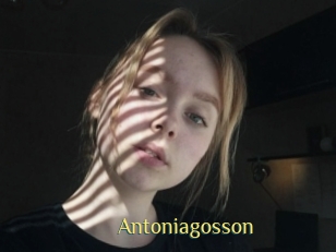 Antoniagosson