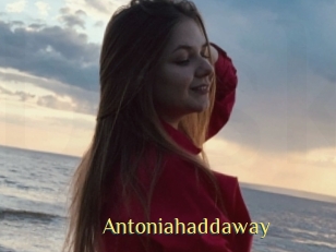 Antoniahaddaway