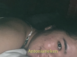 Antoniarieken
