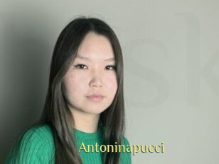 Antoninapucci