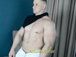 Antoniobear