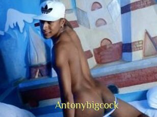 Antonybigcock