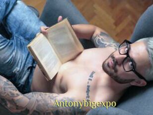 Antonybigexpo