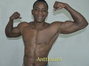 Antthuant