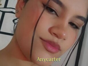 Anycarter