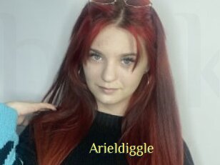 Arieldiggle