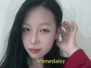 Arlenedaisy