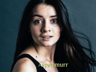 Aspenmurr