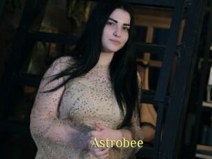 Astrobee