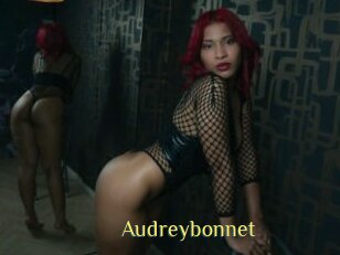 Audreybonnet