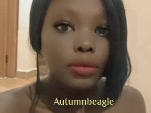Autumnbeagle