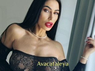 Avacataleya