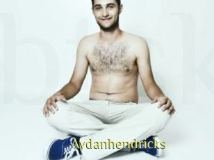 Aydanhendricks