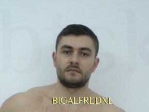 BIGALFREDXL