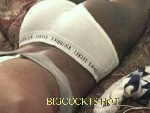 BIGCOCKTS_HOT