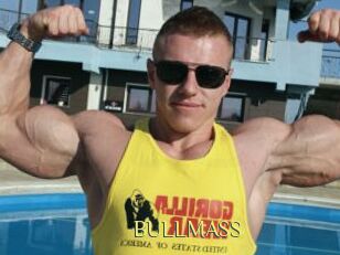 BULLMASS