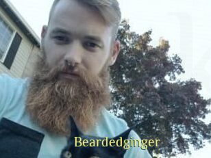 Beardedginger