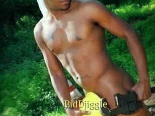 BidDjiggle