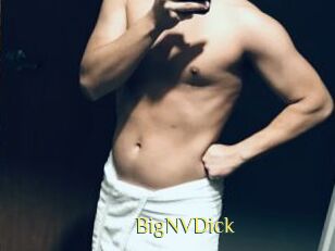 BigNVDick