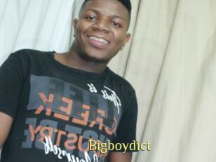 Bigboydict