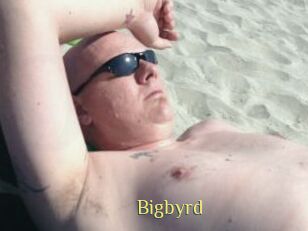 Bigbyrd