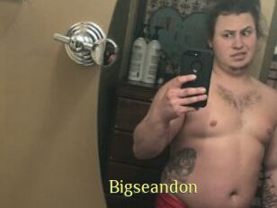 Bigseandon
