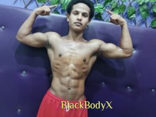 BlackBodyX