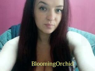 BloomingOrchid