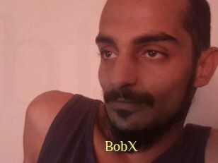 BobX