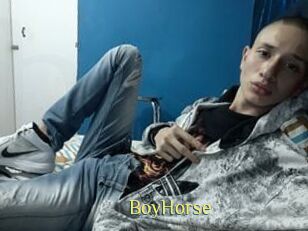 BoyHorse