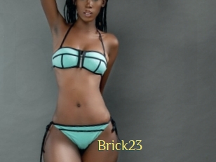Brick23